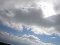 IMG_3408.jpg