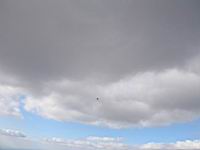 IMG_3415.jpg
