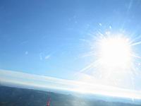 IMG_3931.jpg