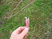 IMG_5307.jpg