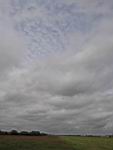 IMG_5363.jpg