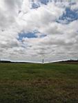 IMG_5388.jpg