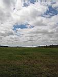 IMG_5389.jpg
