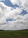 IMG_5403.jpg