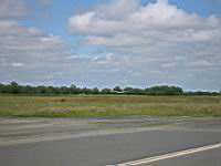 IMG_5417.jpg