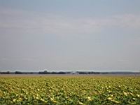 IMG_3344.jpg