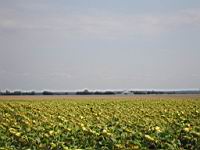 IMG_3345.jpg
