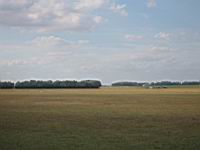 IMG_3098.jpg