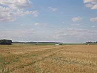 IMG_3100.jpg