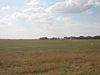 IMG_3104.jpg