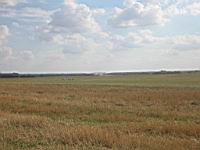 IMG_3106.jpg
