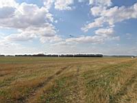 IMG_3109.jpg