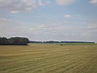 IMG_3115.jpg