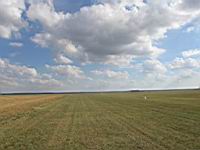 IMG_3119.jpg