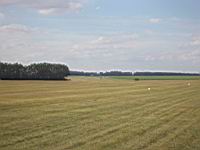 IMG_3120.jpg