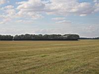 IMG_3136.jpg
