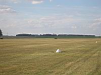 IMG_3141.jpg