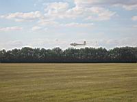 IMG_3142.jpg