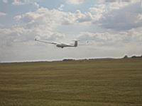 IMG_3143.jpg