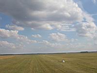 IMG_3144.jpg