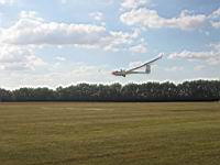 IMG_3149.jpg