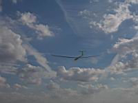 IMG_3153.jpg