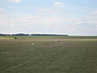 IMG_3160.jpg