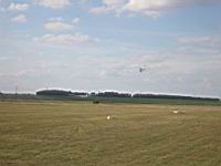 IMG_3173.jpg