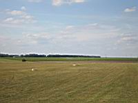 IMG_3184.jpg