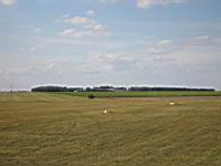 IMG_3185.jpg