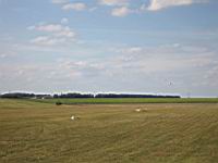 IMG_3192.jpg