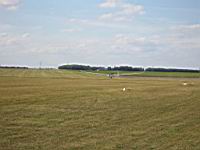 IMG_3199.jpg