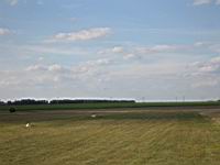 IMG_3203.jpg