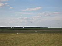 IMG_3204.jpg