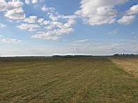 IMG_3208.jpg