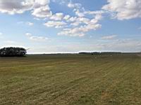 IMG_3209.jpg